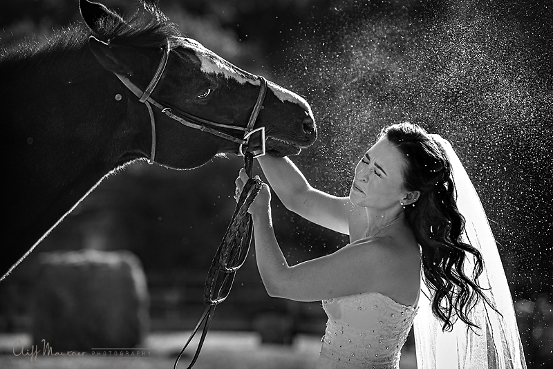 bride+horse